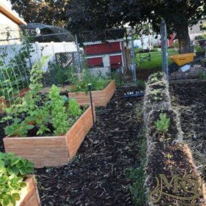 How Growing a Garden Can Help Save the World Image